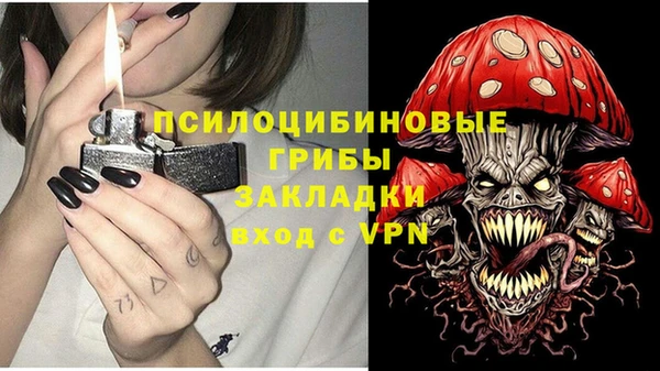 сатива Белокуриха