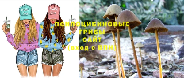 ALPHA PVP Беломорск