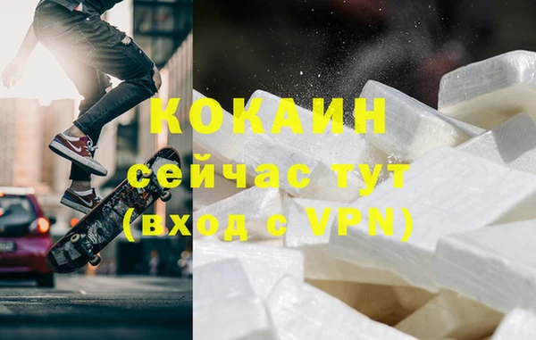 сатива Белокуриха