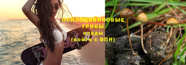 сатива Белокуриха