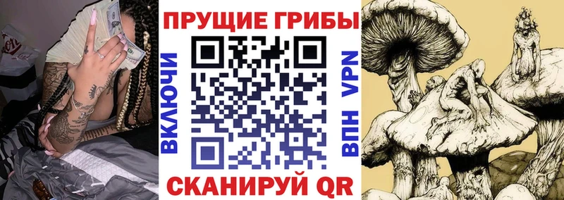 Галлюциногенные грибы ЛСД  KRAKEN онион  Кувшиново  закладки 