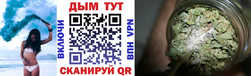 Конопля ГИДРОПОН Кувшиново